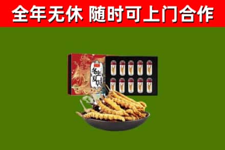 朗县回收冬虫夏草价格