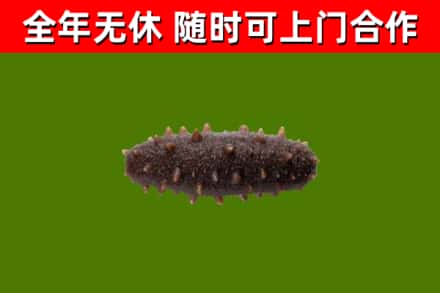 朗县烟酒回收干海参.jpg